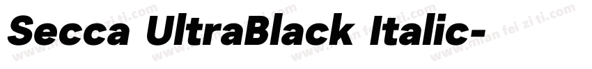 Secca UltraBlack Italic字体转换